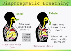 diaphragmatic breathing