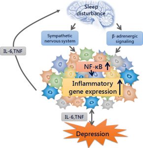 sleep distrubance and depression 